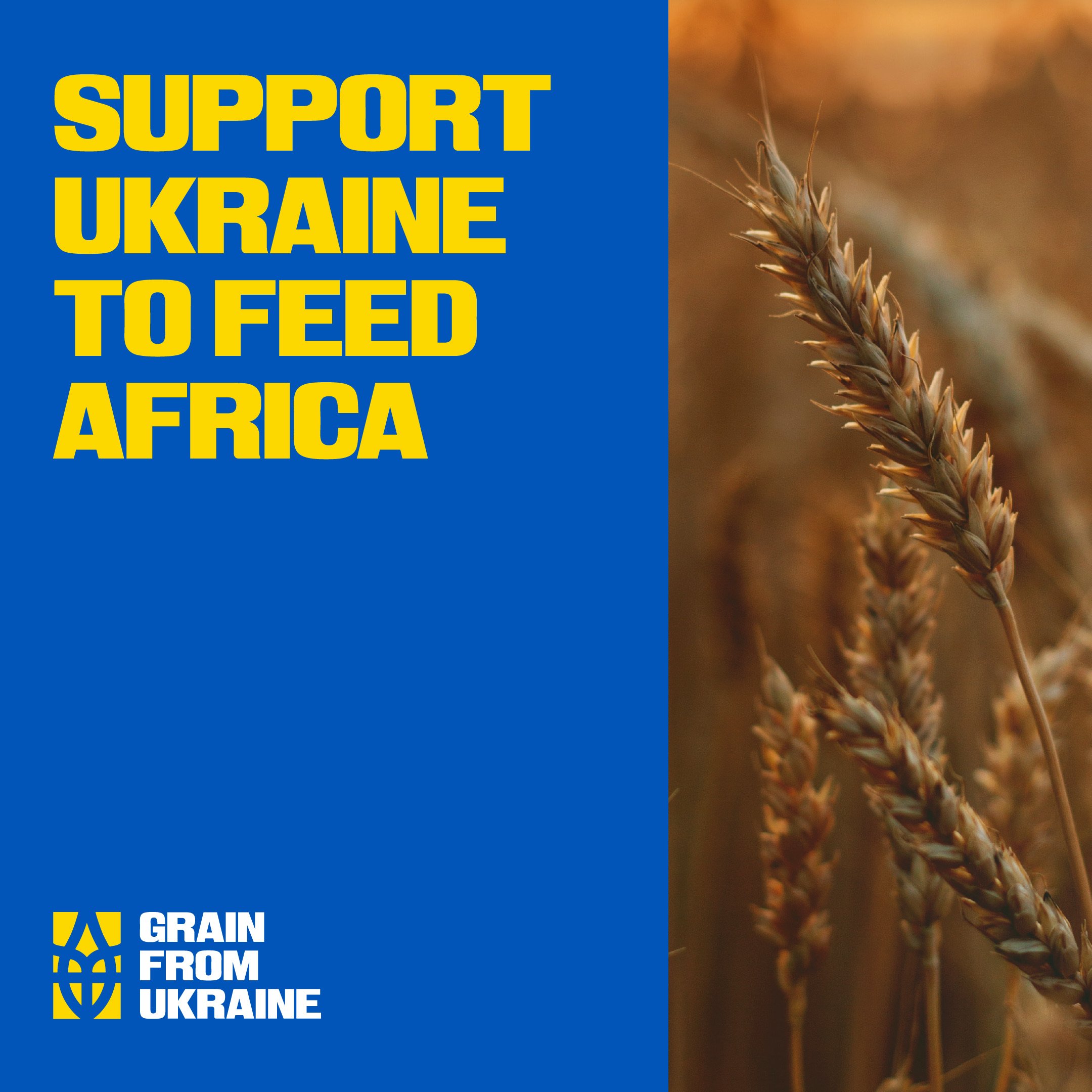 Grain From Ukraine — кейс Taktika