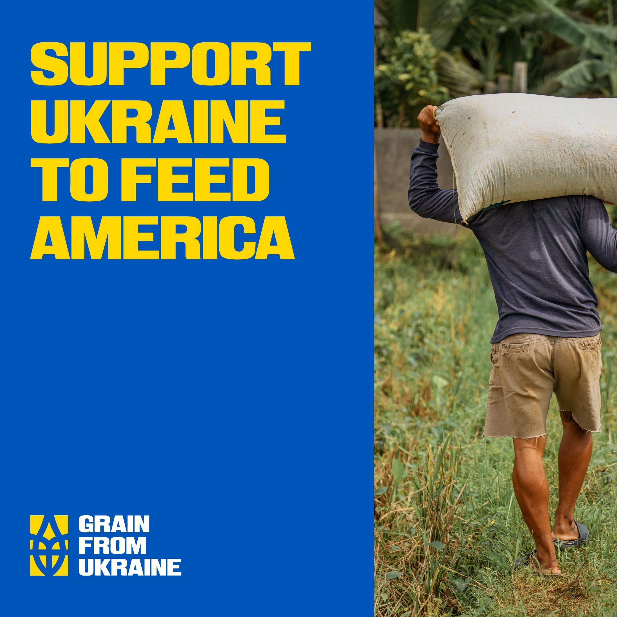 Grain From Ukraine — кейс Taktika