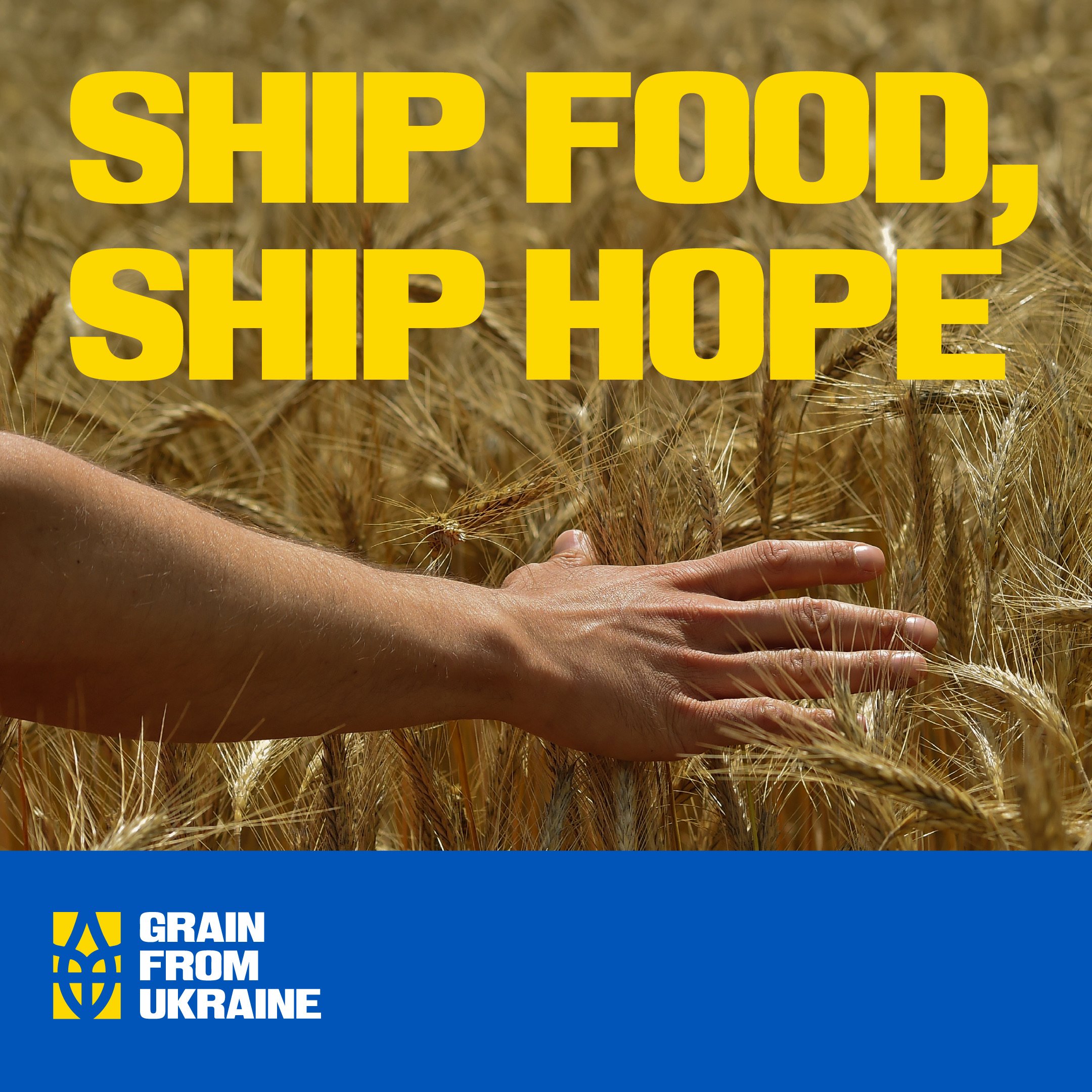 Grain From Ukraine — кейс Taktika