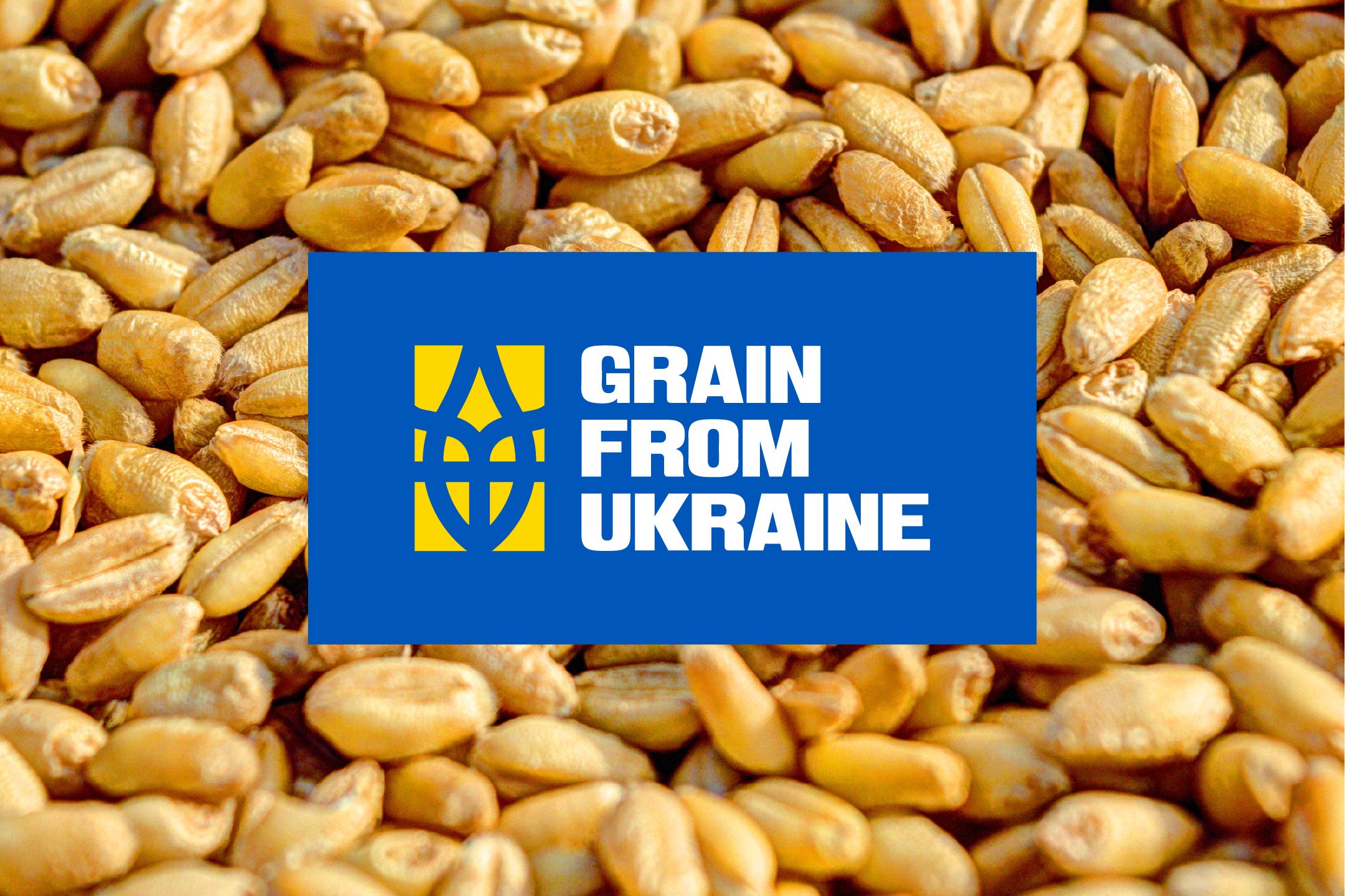 Grain From Ukraine — кейс Taktika