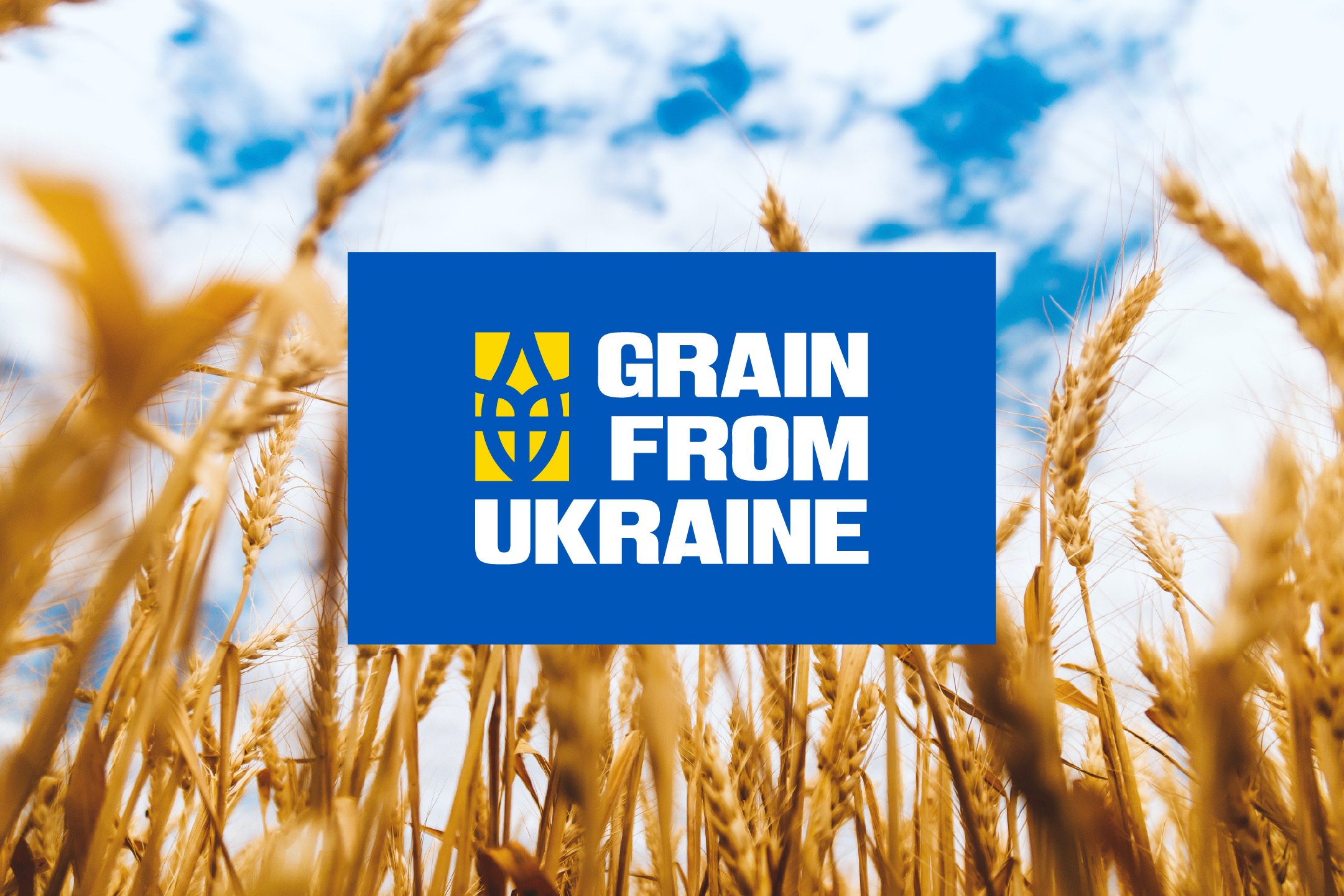 Grain From Ukraine — кейс Taktika