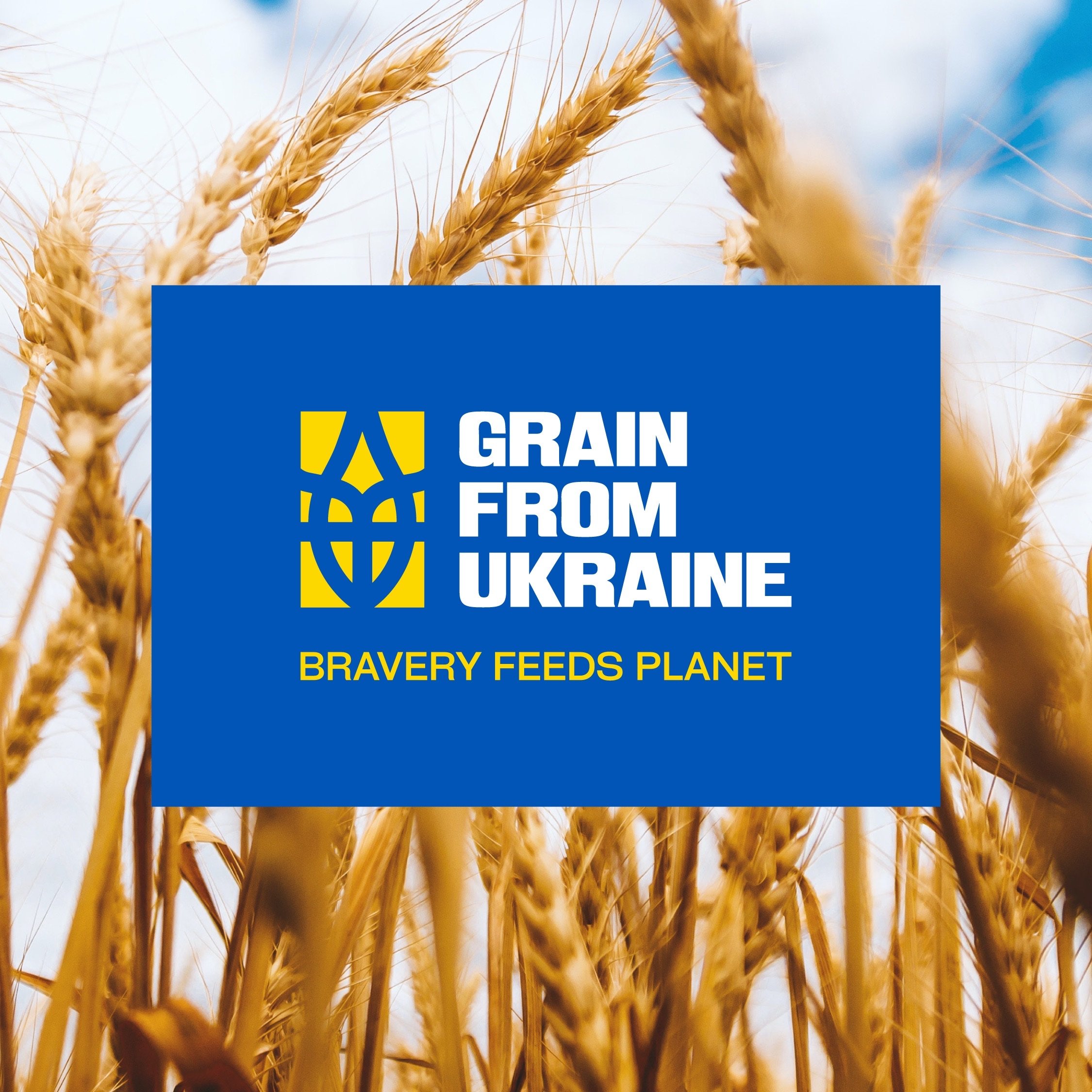 Grain From Ukraine — кейс Taktika